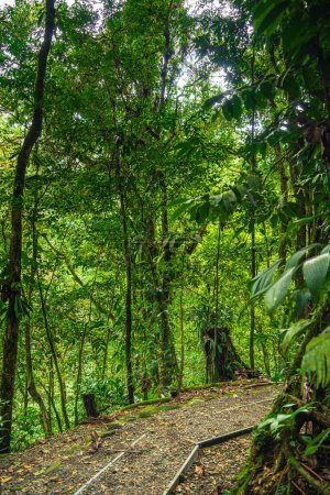 Vue panoramique du parc national El Arenal au Costa Rica
