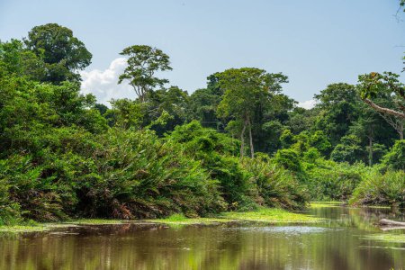 Vista panorámica del Parque Nacional Cahuita, Costa Rica