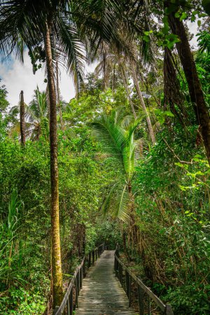 Vista panorámica del Parque Nacional Cahuita, Costa Rica