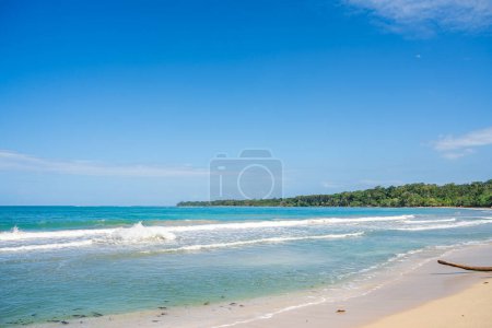 Photo for Scenic view of Cahuita National Park, Costa Rica - Royalty Free Image