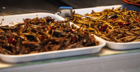 Foto de Insectos fritos, Grasshopper insecto crujiente con salsa y adornar polvo de pimienta tailandesa en el mercado local chino. - Imagen libre de derechos