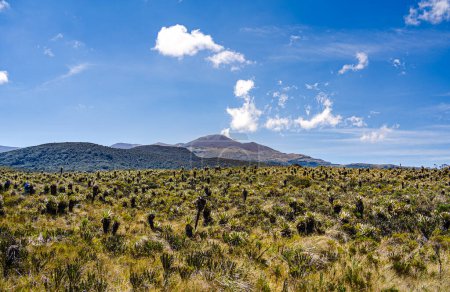 Téléchargez les photos : Vue panoramique du parc national Purace à Cauca, en Colombie - en image libre de droit