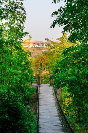 Téléchargez les photos : Chemin dans la forêt de bambous du Pavillon du Wangjiang (Tour du Wangjiang) Parc du Wangjianglou. Chengdu, Sichuan, Chine - en image libre de droit