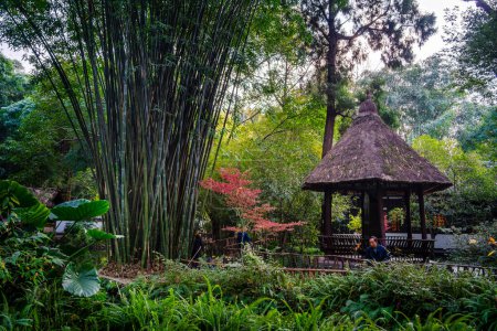 Photo for Chengdu, China - December 2, 2023: Du Fu Thatched Cottage Park, HDR Image - Royalty Free Image