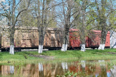 Téléchargez les photos : Chalet en bois entouré de champs inondés au début du printemps - en image libre de droit