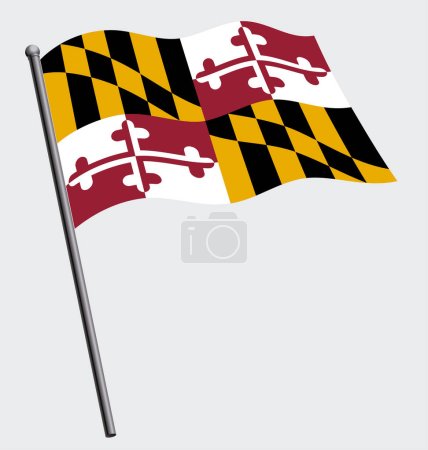 Illustration for Correct maryland md state flag flying on flagpole - Royalty Free Image