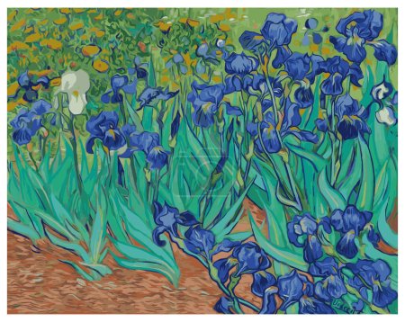 Illustration for Vincent Van Gogh Irises classic art painting - Royalty Free Image