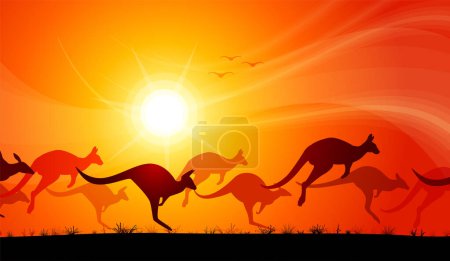 kangourous sautillant à travers le coucher du soleil du désert