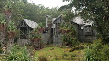 Téléchargez les photos : Plan rapproché d'une reconstruction du chalet historique waldheim au parc national de montagne du berceau en tasmanie, Australie - en image libre de droit