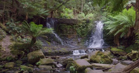 a summers day shot of horseshoe falls at mt field national park in tasmania, australia