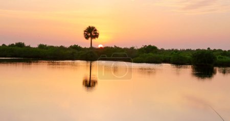 ein Sonnenuntergang mit einer Palme und einer Gezeitenlagune in den Feuchtgebieten der Merritt Island National Wildlife Refugium in Florida, USA
