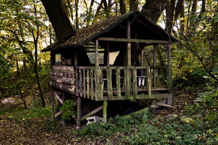 Foto de Antigua casa ubicada en el bosque donde una vez vivió alguien. - Imagen libre de derechos