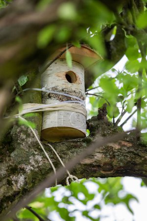 Vogelhäuschen auf einem Baum im Wald. Vogelhaus in der Natur.