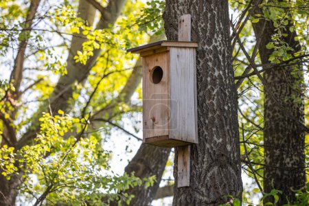 Casa de madera para un búho en el bosque. Casita de pájaros.