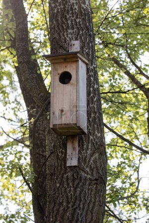 Casa de madera para un búho en el bosque. Casita de pájaros.