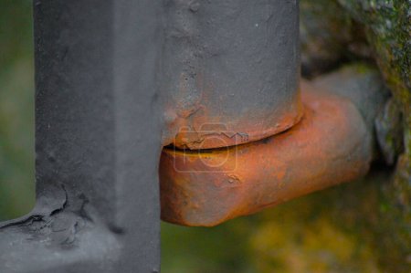 Photo for Close-up of rusty metal hinge to a gate - Royalty Free Image