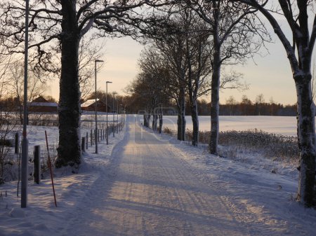 Photo for A snow covered walk road - Royalty Free Image