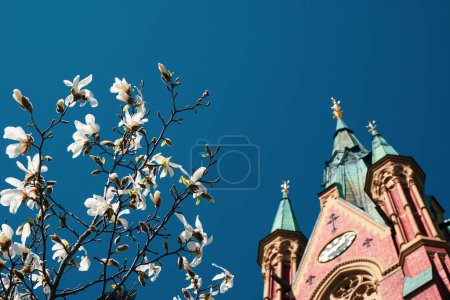 Low angle view of flowering tree and church tower 