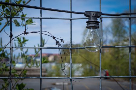 a light bulb hangs on the fence