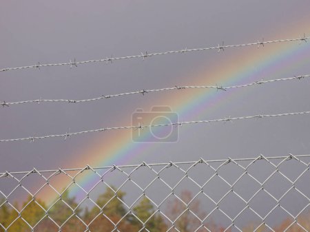 Nahaufnahme von Stacheldraht mit einem Regenbogen im Hintergrund 