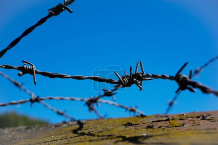 A close-up of barbed wire
