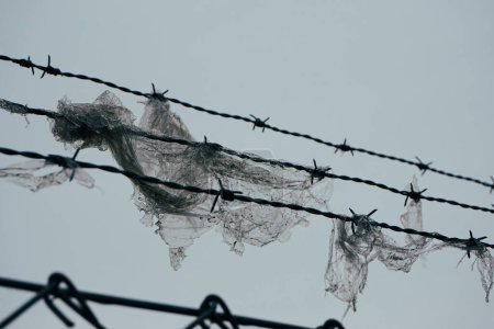 torn plastic bag on the barbed wire fence