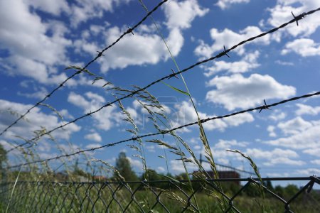 close-up of barbed wire by meadow