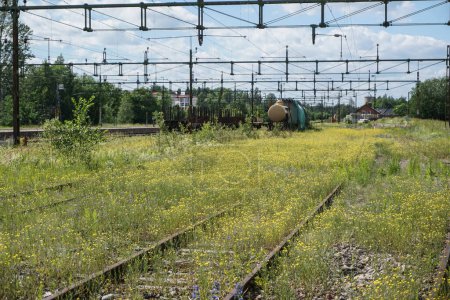 Eine von Blumen bewachsene Eisenbahn 