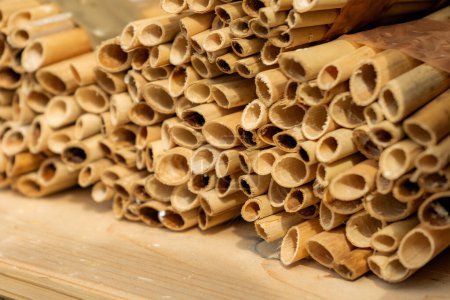 Téléchargez les photos : Gros plan du site de nidification des abeilles maçon, roseaux - en image libre de droit