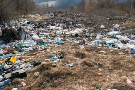 Un vertedero natural de basura, botellas de plástico usadas, bolsas y otros tipos de residuos.