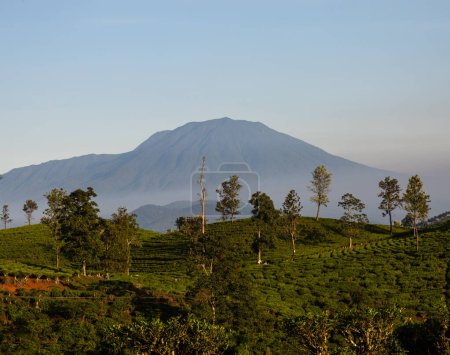 hermoso paisaje con gede pangrango fondo de montaña. cianjur indonesia.