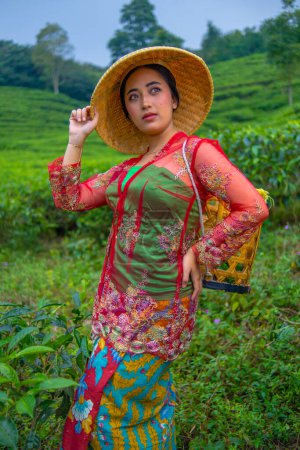 Photo for A tea leaf farmer holding a bamboo hat while working in the tea garden in the morning - Royalty Free Image
