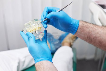Téléchargez les photos : Gros plan des mains d'un médecin dentiste portant des gants chirurgicaux bleus, tenant un modèle en plastique d'os de la mâchoire humaine et une sonde dentaire, tout en expliquant le traitement dentaire à un patient dans une clinique dentaire - en image libre de droit