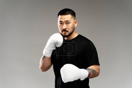 Photo for Handsome serious Korean boxer wearing white boxing gloves looking at camera, isolated on gray background. Sport competition, motivation concept - Royalty Free Image