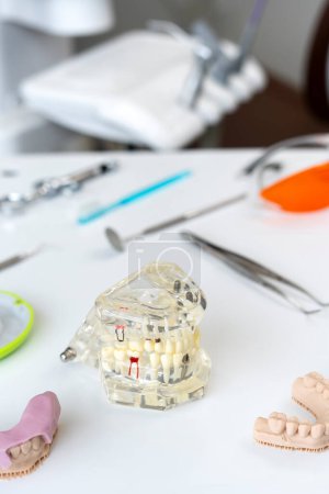 Foto de Vista vertical del espejo dental, fórceps de hierro y modelos de dientes colocados sobre la mesa. Concepto de instrumentos dentales - Imagen libre de derechos