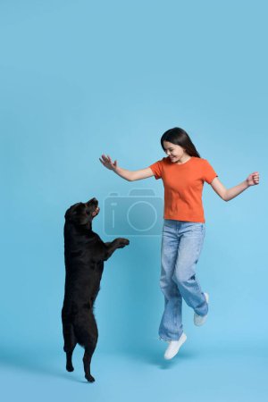 Photo for Full length studio portrait of cheerful pretty teenager girl in orange t-shirt and casual denim, jumping, having fun while playing with her pet, adorable labrador retriever on isolated blue background - Royalty Free Image