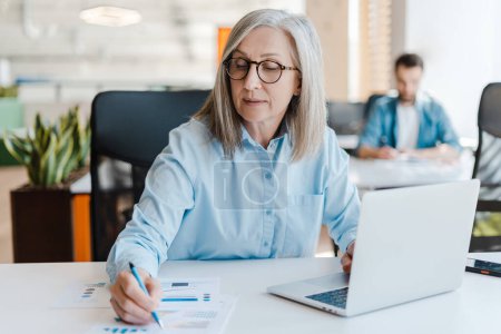 Photo for Caucasian stylish gray haired mature adult business woman, making notes on a notebook, sitting at desk with laptop, working on new startup project in modern office interior. Business. People. Career - Royalty Free Image