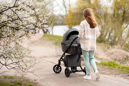 Photo for Back view, young woman walking with small child, pushing stroller, spring, sunny day. Mother and child together in nature - Royalty Free Image