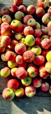 Téléchargez les photos : Pomme. Fruits sur le marché - en image libre de droit