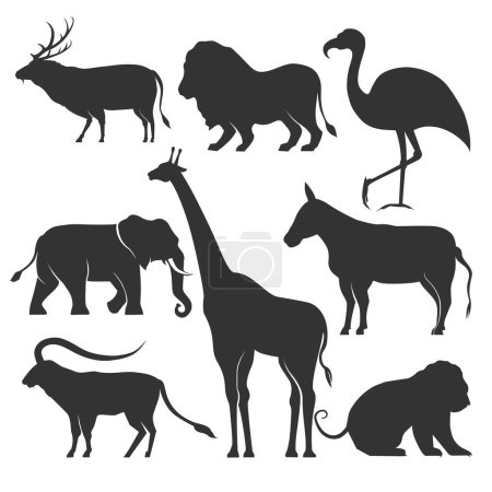 Téléchargez les illustrations : Collection de silhouette animale, zoo animaux africains. - en licence libre de droit