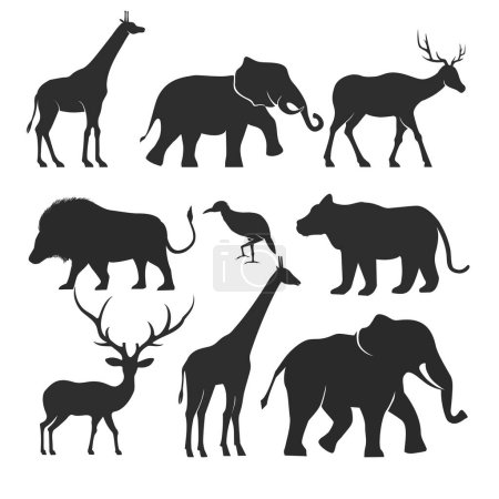 Collection of animal silhouette, zoo african animals.