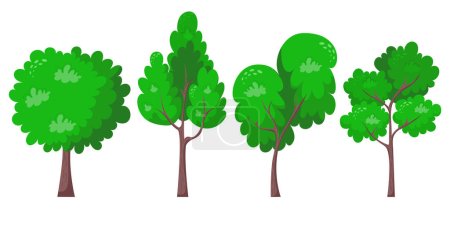 Illustration for Set of green trees flat vector illustration. Beautiful green leaves isolated on white. Summer time trees. Natural forest plant. Ecology garden template. - Royalty Free Image