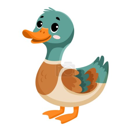 Illustration for Cute funny duck, happy little duckling. ute farm animal isolated on white background. Flat vector illustration. - Royalty Free Image