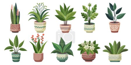 Illustration for Collection of trendy home cute plants in flower pots pack icons. Houseplants or flower in pots modern vector illustration. Green plants growing in a pots. Set of potted plants icon. - Royalty Free Image