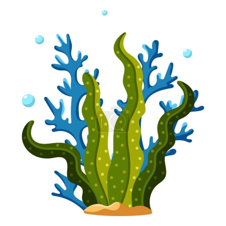 Ocean and sea plant, underwater flora, seaweed, marine life. Aquatic plant, algae, tropical seabed vector element.