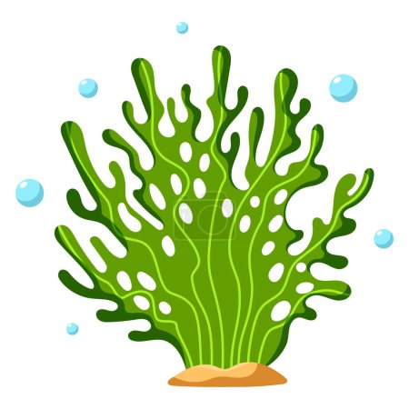 Ilustración de Océano y plantas marinas, flora submarina, algas, vida marina. Planta acuática, algas, elemento vector del fondo marino tropical. - Imagen libre de derechos