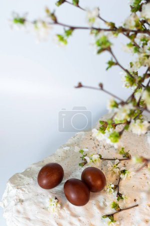 Photo for Easter frame of blooming branches and brown painted eggs on white stone with space for writing - Royalty Free Image