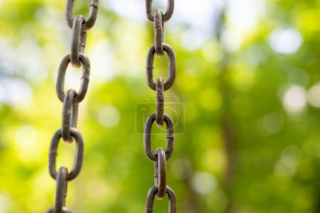 Photo for Vertical metal chain on natural green background - Royalty Free Image