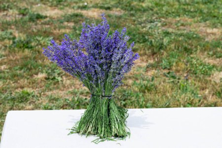 Photo for Bouquet of purple lavender flowers on table with green grass background with copy space - Royalty Free Image