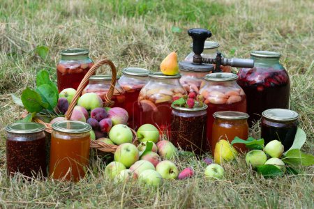 Foto de Variedad de frascos con frutas conservadas para las manzanas de invierno, peras, frambuesas, en hierba - Imagen libre de derechos